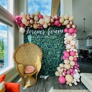 Party/photo backdrop